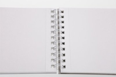 Kalia - 5AS-20(260)TS_SMLTArt_Traditionalwatercolor_spiral.jpg