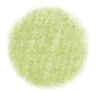 Kalia - CIRLG5_swatch.jpg
